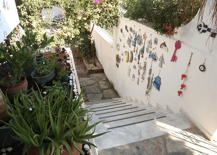 Parva Port Проживание в семье