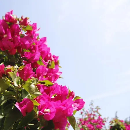 Parva Port Accommodatie bij particulieren