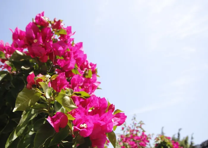 Parva Port Homestay szállás